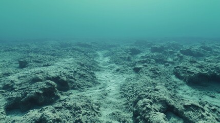 Obraz premium Serene Minimalist Cinematic Image with Dusty Coral Band and Watery Gray Sea