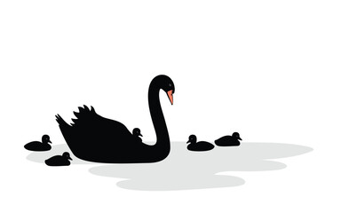 Black swan family animal silhouette vector