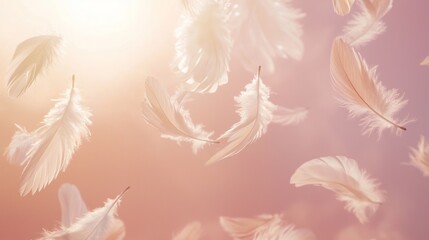 Delicate Feathers Cascading Softly in a Gentle Warm Light