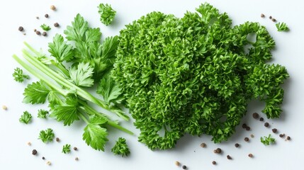 Fototapeta premium Fresh green herbs including parsley and cilantro on a light background.