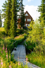 A wooden path leading through a mountain meadow to a summer house