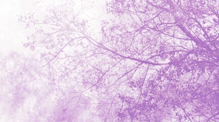 Ethereal Overexposed Silhouette of Tree Branches in Orchard Setting