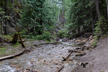 Margaret Falls loop trail with mountain stream near Shuswap lake British Columbia with scenic...