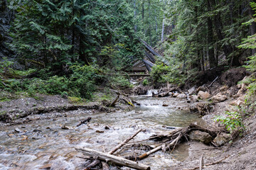 Margaret Falls loop trail with mountain stream near Shuswap lake British Columbia with scenic hiking trail