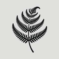 Fern Silhouette in black on a white background