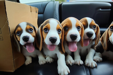 Adorable Beagle Puppies Sitting Together on a Car Seat With Happy Expressions