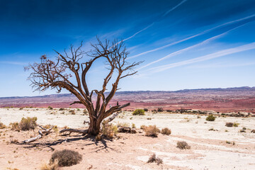 Trading Post Trail at Red Rocks Park is one of the most popular hiking trails in the Denver Mountain Parks.