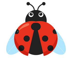 Ladybird or ladybug animal spring summer time clipart illustration insect flying