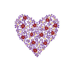 Heart symbol with realistic pressed colorful flowers isolated on transparent background.