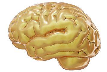 Golden Brain: 3D Model - A 3D model of a golden brain, representing intelligence, creativity, and innovation. Perfect for use in presentations, illustrations, and educational materials.	
