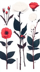 Romantic Red   White Roses  Floral Illustrations  Wedding Invite Design Elements