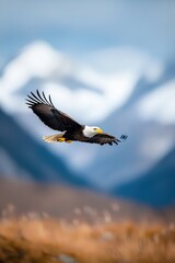 Majestic Bald Eagle Soaring Over Mountain Landscape