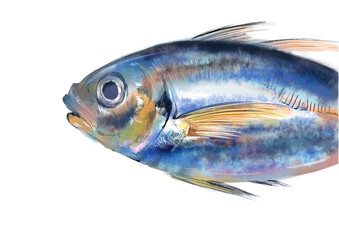 Horse_mackerel