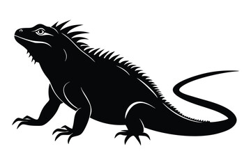 Fototapeta premium Iguana silhouette set collection isolated black on white background vector illustration