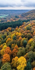 Obraz premium Aerial View Of Autumnal Forest Canopy Showing Diverse Colors