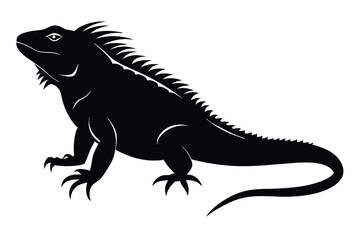 Naklejka premium Iguana silhouette set collection isolated black on white background vector illustration
