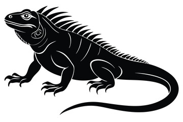Fototapeta premium Iguana black and white illustration isolated on white background