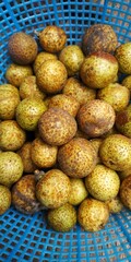 A close-up shot of a cluster of greenish-brown longan fruits nestled in a vibrant blue basket. The longans, with their mottled brown and green shells, appear fresh and ripe