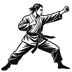 Karate vector illustration design