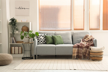 Comfortable sofa with houseplants in room