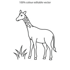 Giraffe silhouette vector illustration art design. Giraffe vector design isolated on white background. Wild animals, wild creatures, wildlife concept. Cartoon animal in flat style.