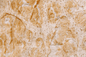 Pita bread tortilla, baked surface close-up. A background with a tortilla texture.