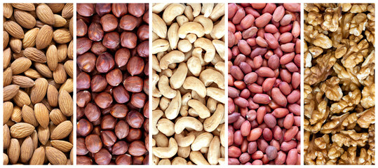 Set of different nuts in five sections, top view, macro. Walnut, peanut, almond, hazelnuts, cashews.