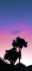 Obraz premium 夕暮れ時の美しい空のグラデーション