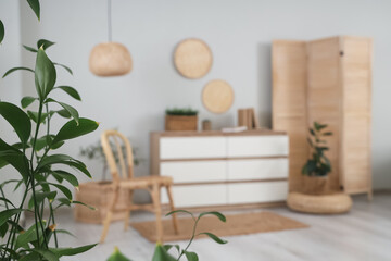 Plant branches in light living room, closeup