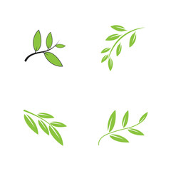 Green leaf logo vector template element symbol design