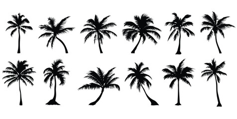 Black palm tree set vector illustration isolated on white background silhouette art black white stock illustration logo icon png. tropical, beach, landscape, pattern, paradise, coconut background