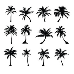 Black palm tree set vector illustration isolated on white background silhouette art black white stock illustration logo icon png. tropical, beach, landscape, pattern, paradise, coconut background