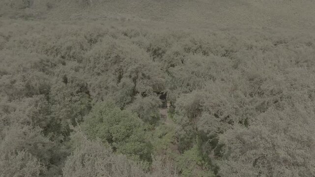 Aerial video above natural reserve el angel ecuador