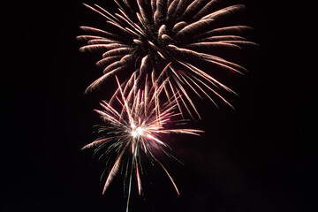 Spring Festival fireworks bloom in the night sky
