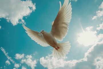 Obraz premium White dove flying in sky