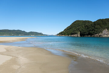 野生の猿が生息する日南海岸の幸島