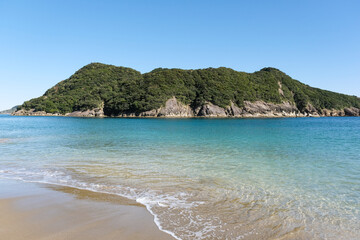 野生の猿が生息する日南海岸の幸島