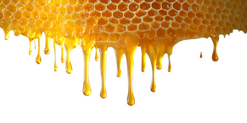 Honeycomb beeswax with honey dripping drip on transparent background cutout PNG file. Mockup template for artwork. Wallpaper banner border