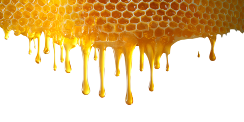 Honeycomb beeswax with honey dripping drip on transparent background cutout PNG file. Mockup template for artwork. Wallpaper banner border
