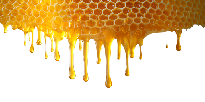 Honeycomb beeswax with honey dripping drip on transparent background cutout PNG file. Mockup template for artwork. Wallpaper banner border - Powered by Adobe