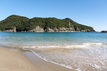野生の猿が生息する日南海岸の幸島