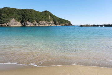 Obraz premium 野生の猿が生息する日南海岸の幸島