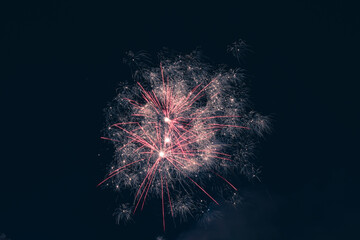 Spring Festival fireworks bloom in the night sky