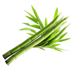 Fototapeta premium Fresh Bamboo Stalks with Vibrant Green Leaves – Perfect for Sustainable Decor and Eco-Friendly Products