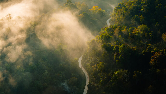 Aerial view of forest road and farm in the morning. Travel. Green transport. Aerial view.