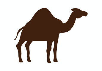 Camel silhouette, Camel icon vector, black camel animal