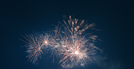 Spring Festival fireworks bloom in the night sky