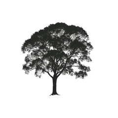 silhouette of a tree