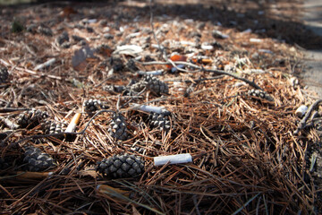 close up of cigarette