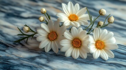 White daisies marble background floral arrangement